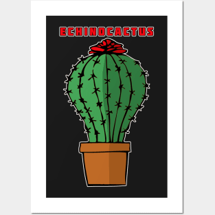 Echinocactus Posters and Art